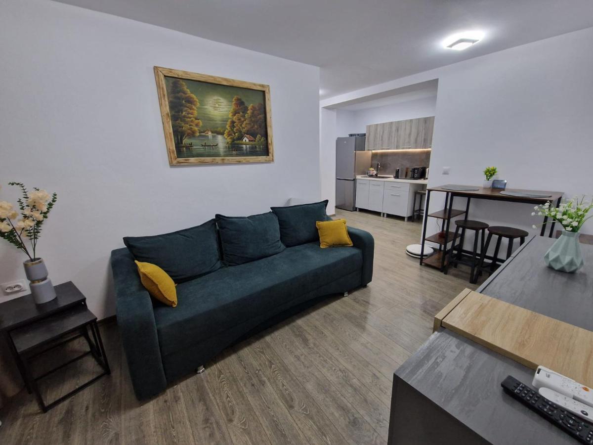 Home Studio Sighisoara Exterior photo